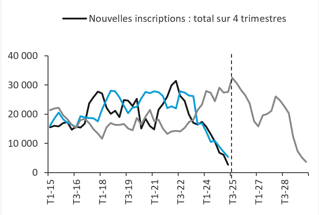 Graphique 10 : Les nouveaux lancements diminuent.