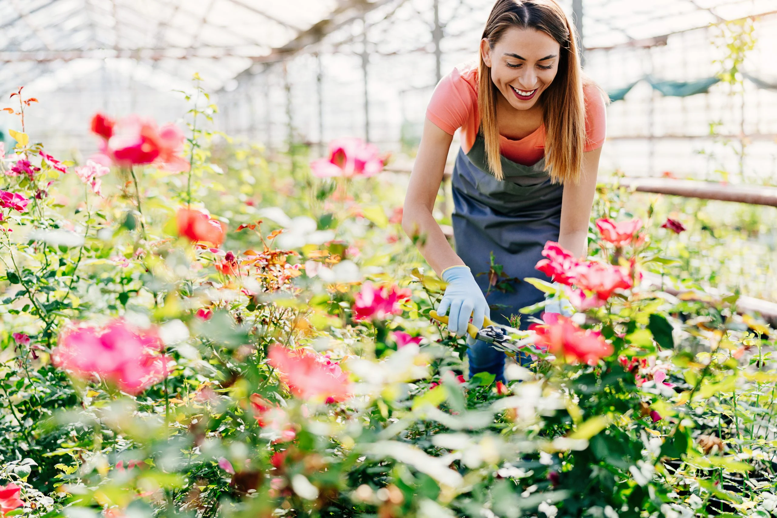A woman with straight light-brown hair wearing a coral-coloured top and a blue apron, cuts flowers in a greenhouse.