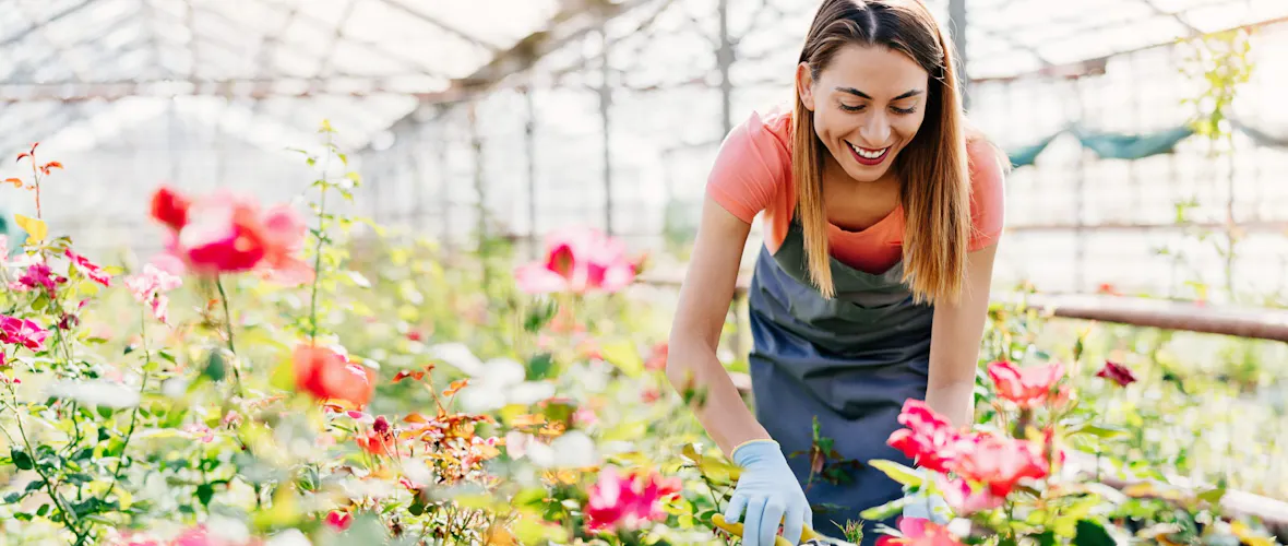 A woman with straight light-brown hair wearing a coral-coloured top and a blue apron, cuts flowers in a greenhouse.